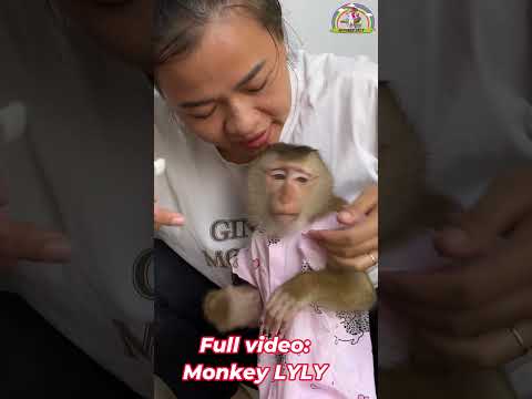 Monkey Lyly called her mother to brush her teeth. #shorts #monkey #youtubeshorts