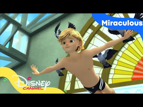 Omringad av duvor | Miraculous | Disney Channel Sverige