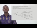 Decision Trees in Business Analysis