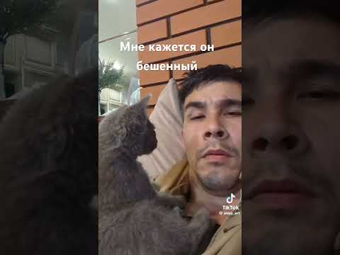 Кто знает признаки бешенства? Вообще стоило его в дом пускать?🤔 #cat #веселыекоты #funny