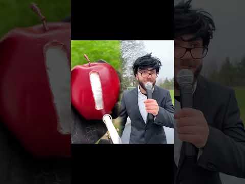 شنو رايكم ببطولة دودو و الحجية ؟ 😂 #d99a #كوميدي_سوري #جيش_الششمه #كوميدي_عراقي