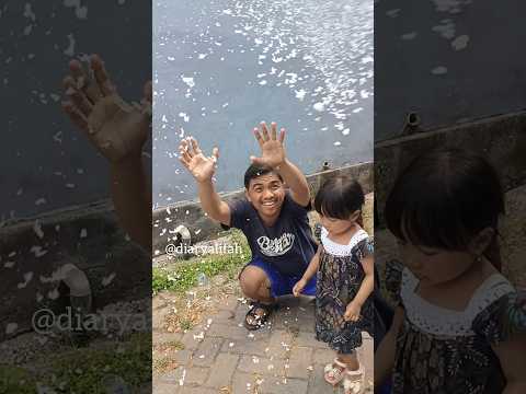 Main Salju Dari Korek Api #shorts #youtubeshorts #viralvideo #trending