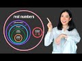 Understanding Numbers: Types and Concepts