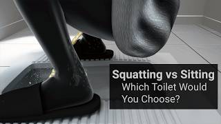 Squatting vs. Sitting: Which Toilet Would You Choose