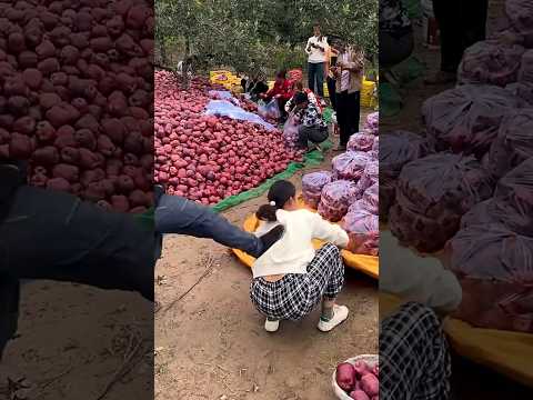 मालिक आज पिंकी को क्यों मार रहा है 🥺😭 #shortvideo #indianshorts #orangejuice #orangerecipe
