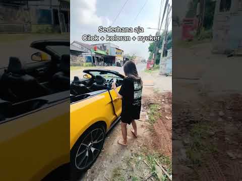 AKU MAH SEDERHANA AJA GA NEKO2