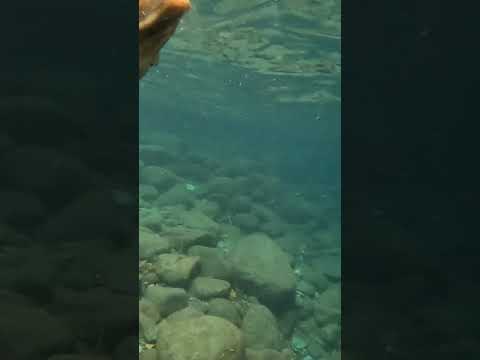 Taytay Falls, Majayjay Laguna Philippines ??