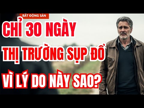 THỊ TRƯỜNG BĐS MỸ SỤP ĐỔ CHỈ VÌ LÝ DO KHÔNG NGỜ NÀY SAO ?