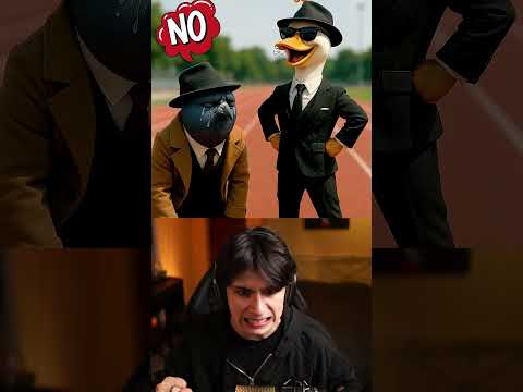 ИТАЛЬНЯСКИЕ ЖИВОТНЫЕ БЕГАЮТ ДРУГ ПРОТИВ ДРУГА