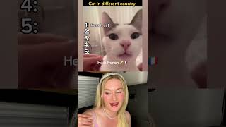 Katzen aus verschiedenen Länder