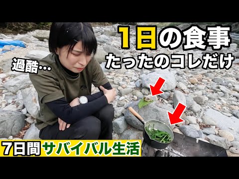 【100均サバイバル#7】過酷過ぎて激痩せ、元気がない…釣具が壊れる!?大ピンチサバイバル【4日目】