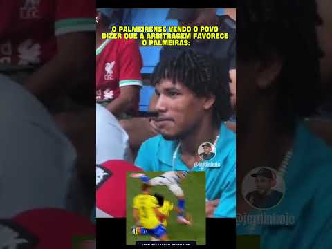 O torcedor palmeirense no meio da discussão l#futebol #polemica #humor #jerdinhojc #polemica