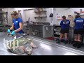 Marine Life Recovery and Conservation