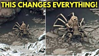 NASA Just SHUT DOWN Their Mars Rover After It Captured This