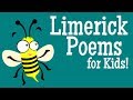 Understanding Limericks and Their Characteristics