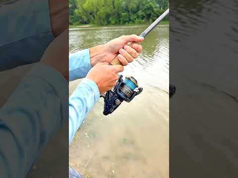 He caught a 100kg water monster in the river #fishing