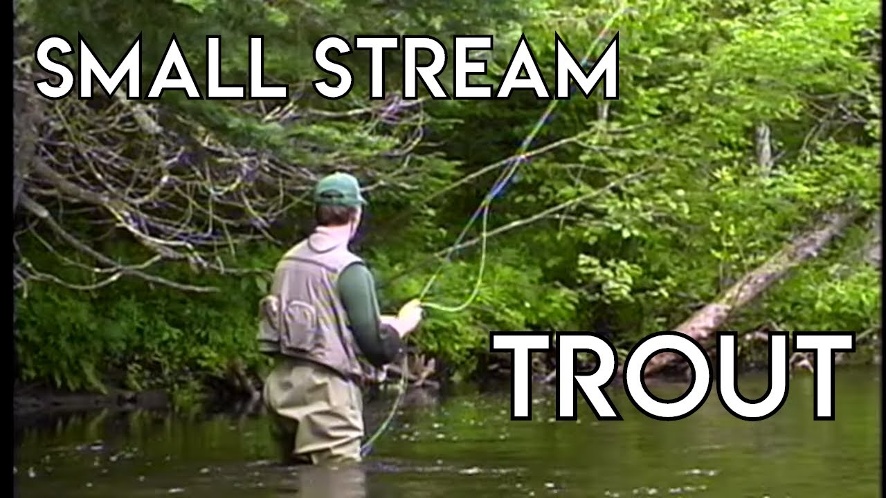 Small Stream Trout Tactics - The New Fly Fisher