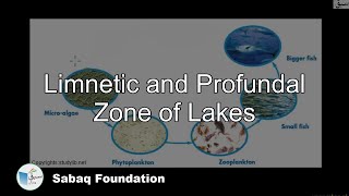 Limnetic and Profundal zone of lakes