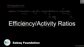 Efficiency/Activity Ratios
