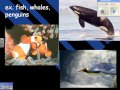 Evolutionary Concepts and Mechanisms