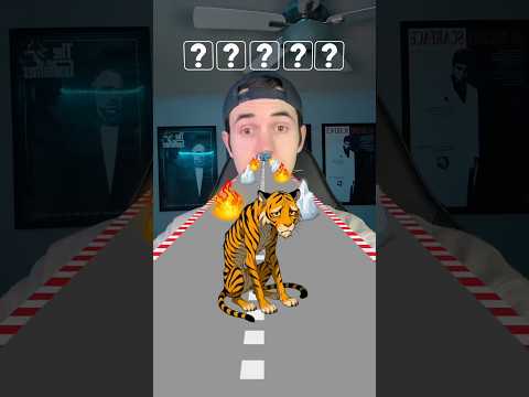 Going For The Win On This New Filter…