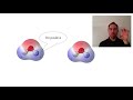 Hydrogen Bonding and Polymer Behavior