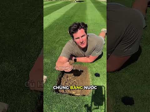 Những nhân viên sân golf này được tặng "quà" mỗi ngày😂
