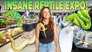 Full Walk-Through of HUGE Reptile Expo!