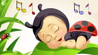 Baby Lullabies and Nature Sounds