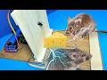 NEW Electric Mouse Trap  Best Electric Mouse Trap  Electronic Rat Trap  Mouse Sounds  2024