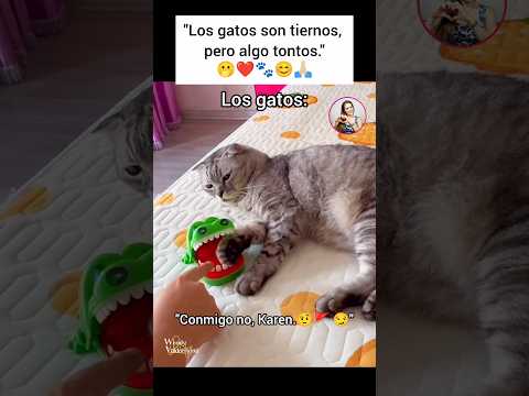 😲🚩La hizo caer en su propia trampa.🪤🐾😀#cat #god #gatos #love #amor #catlovers #catlover #catshorts