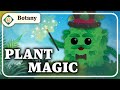 Exploring Photosynthesis and Cellular Respiration