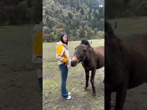#@Amanjewelers1000 Watch 'the end'๐๐๐ #viral #funny #shorts #funnyfails