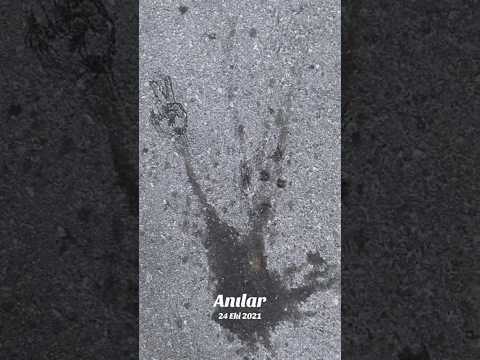 Zamanın nasıl hızla geçtiğini fark ettiğim o anlar🙋🏻♀️ #anılar