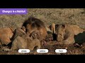Habitat Changes and Their Impact