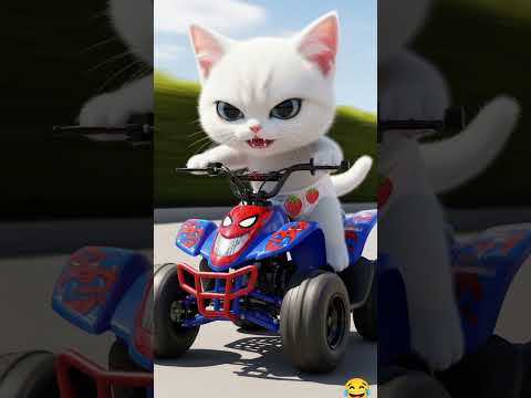 القط الشقى شوفو بسرعة عمل ايه فى مامته 😂 #cat #funnyanimals #shorts#قطط