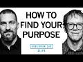 Finding Your Life's Purpose