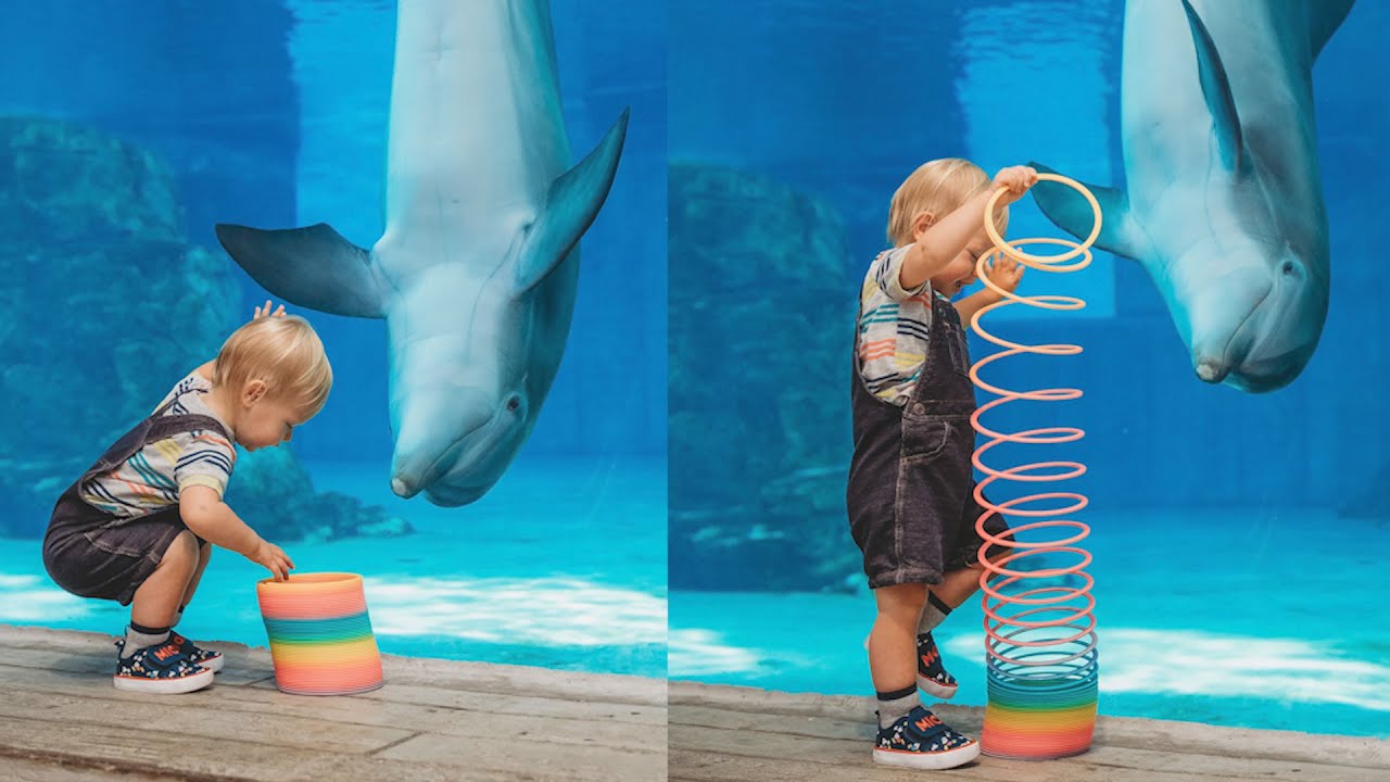 Cute Dolphin & Baby Playtime + NEW Walking With Giants Whales Exhibit! Clearwater Marine Aquarium! The Tim Tracker