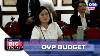 VP Sara attends OVP budget hearing alone | The Big Story