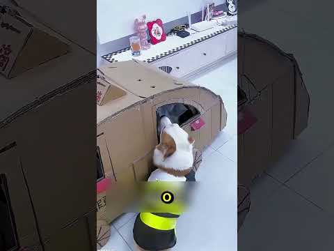 Я не знав, що вона має таксі!
