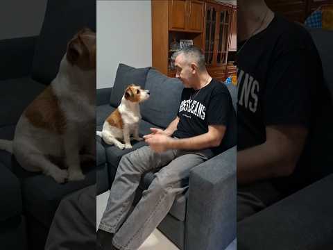 Lo más tierno que verás hoy