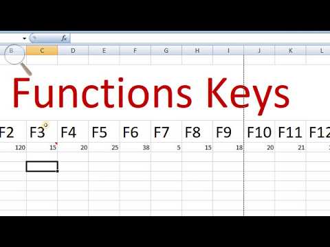 what is the f2 function on excel for mac