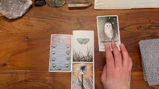 Scorpio Full Moon May 2026 Tarot Reading for all Zodiacs!