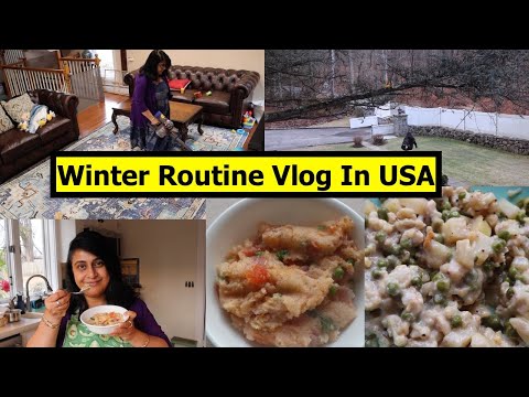 6.30 am To 2.30 pm Winter Routine Vlog In America |  Full Day Menu |Simple Living Wise Thinking