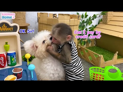 A Day at the Market with Monkey Bibi – Funny and Cute Moments