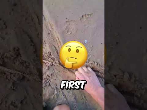 He Found This AMAZING Treasure??