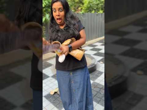 പേടിക്കേണ്ട 😜..ഓടിക്കോ 😂🙆‍♂️ : prank potato chips snake #lazemedia #labrador #german_shepherd