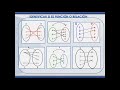 Mathematics Class: Relations and Functions