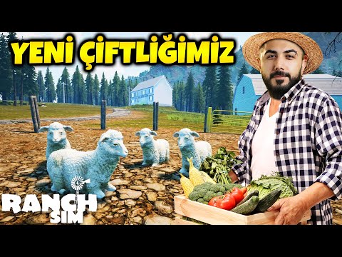 YENİ ÇİFTLİĞİMİZİ KURDUK!! DEVASA GÜNCELLEME!!! EKİPLE RANCH SIMULATOR | Barış Can