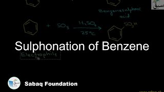 Sulphonation of Benzene